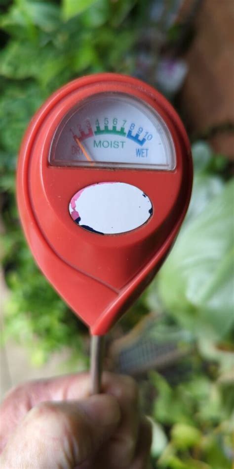 using a moisture meter on container tomatoes|tomato moisture level calculator.